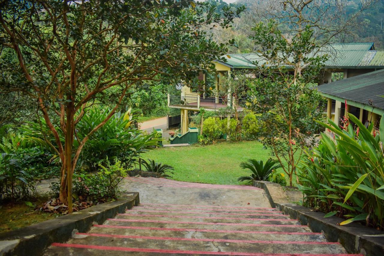 Blue Magpie Lodge Sinharaja Kudawe エクステリア 写真