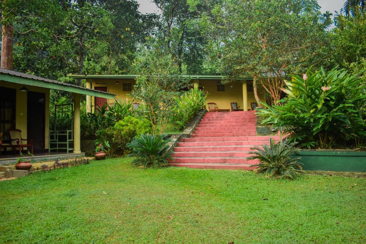 Blue Magpie Lodge Sinharaja Kudawe エクステリア 写真