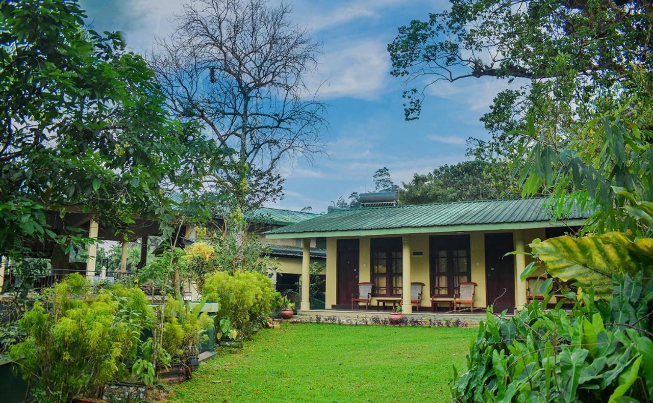 Blue Magpie Lodge Sinharaja Kudawe エクステリア 写真